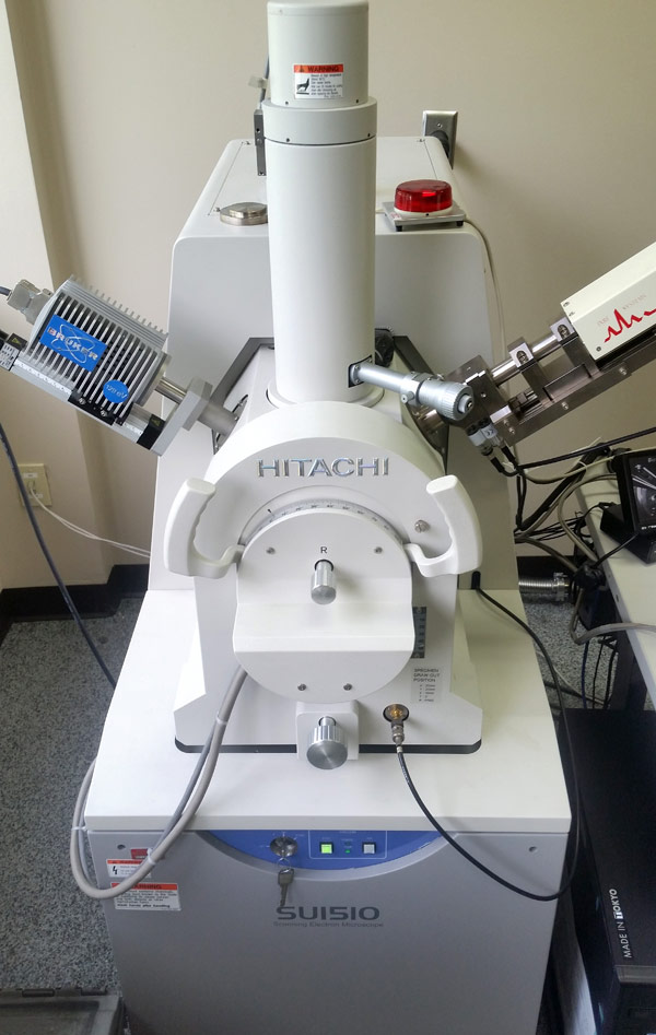 SEM2@2x SEM (Scanning Electron Microscope)