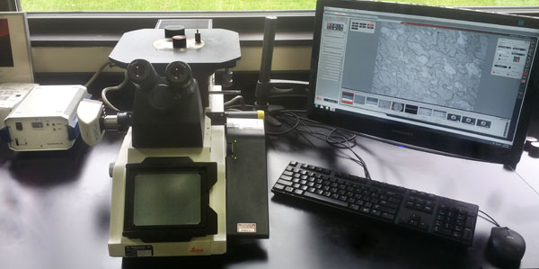inverted_microscope@2x inverted microscope